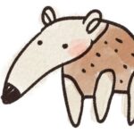 繊細なアリクイ